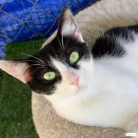 Photo of Holly