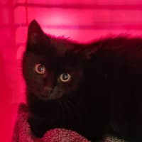 Photo of Axyl