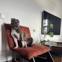 Photo of Gambit