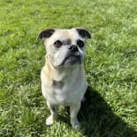 Photo of Herbie