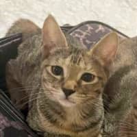 Photo of Elsa