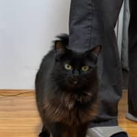 Photo of Sabrina