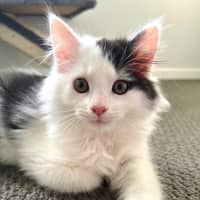 Photo of Maxie