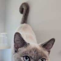Photo of Maia