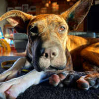 Photo of Mimi