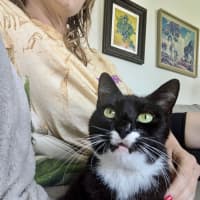 Photo of Stevie Mitts