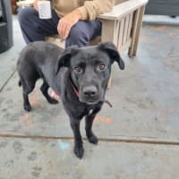 Photo of Rosie Lozano