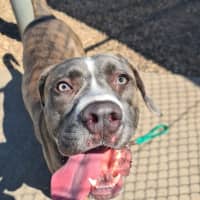 Photo of Thor