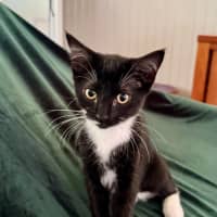 Photo of Baby & Belle