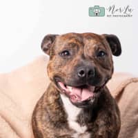 Photo of Max