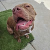 Photo of Meggie 💜