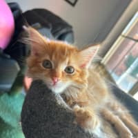 Photo of Theo