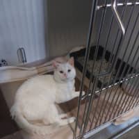 Photo of Special Needs Papa