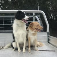 Photo of Cruiser