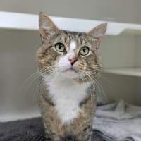 Photo of 😽 Jerome 6752 😽