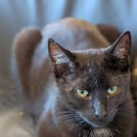 Photo of Xenon