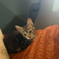 Photo of Trujillo (Trudy)