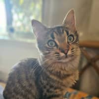 Photo of Kiara