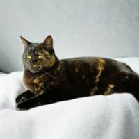 Photo of Birdie