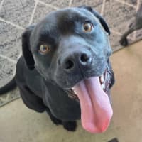 Photo of Zeus