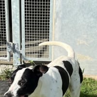 Photo of Bingo (4471)