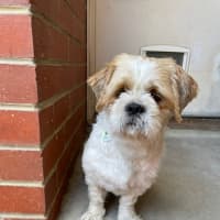 Photo of Hunter