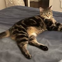 Photo of Gabby