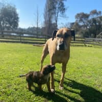 Photo of Dennis Reynolds 