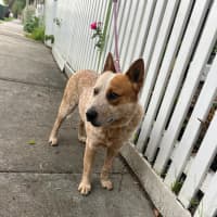 Photo of Mateo