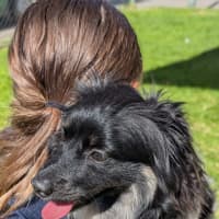 Photo of Moss