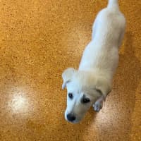 Photo of Blu