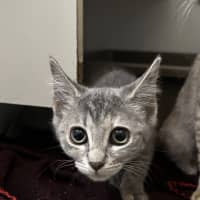 Photo of Wilder