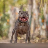 Photo of Belle