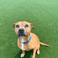 Photo of Jett Imp 2091