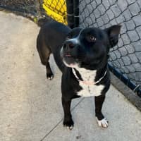 Photo of Rain Imp 1080