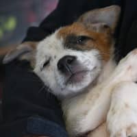 Photo of Thelma