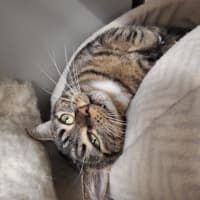 Photo of Polly