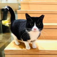 Photo of Gatsby 🌟