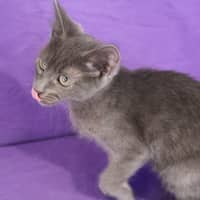 Photo of Valjean