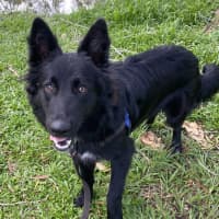 Photo of Maggie