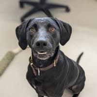 Photo of 🍁 Lucy 5575 🍁