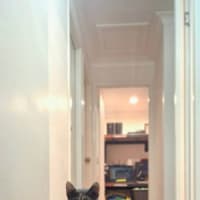 Photo of Cali