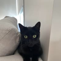 Photo of Lily