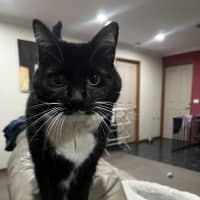 Photo of Nikita Aka Nikki