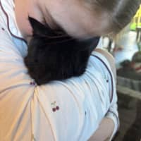 Photo of Pookie Meet Me@Petstock Mornington Nepean Hwy 