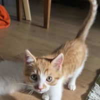 Photo of Jinkx Monsoon