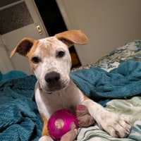 Photo of Eddie