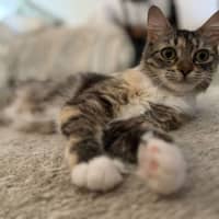 Photo of Sugar