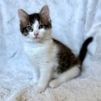 Photo of Victor   On Display At Vets On Parker