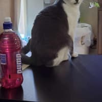 Photo of Minnie